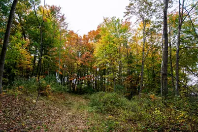 V/L Wood School Road, Freeport, MI 49325 - Photo 3