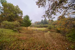 13621 Caberfae Hwy, Wellston, MI 49689 - Photo 59