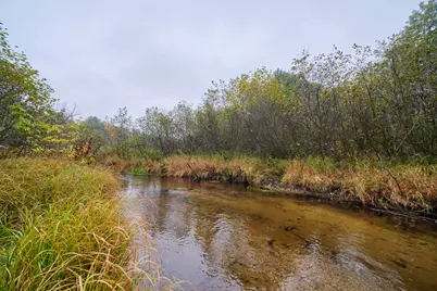 13621 Caberfae Highway, Wellston, MI 49689 - Photo 5
