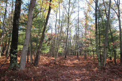 11590 N Bingham Avenue, Bitely, MI 49309 - Photo 9
