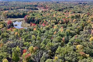 V/L N Bear Track, White Cloud, MI 49349 - Photo 1