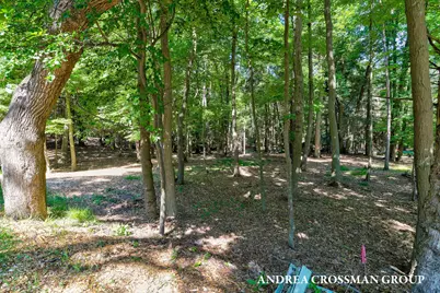 110 Park Street, Saugatuck, MI 49453 - Photo 9