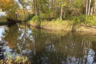 8102 Woodard Rd, Rives Junction, MI 49277 - Photo 97