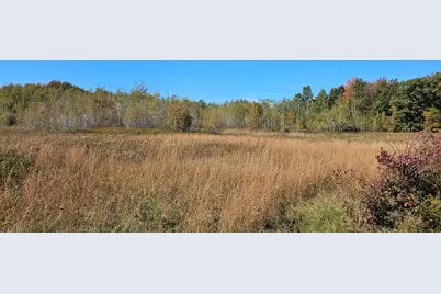 57900 County Road 380, Grand Junction, MI 49056 - Photo 5