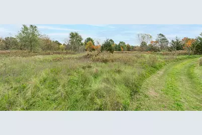 V/L Sibert, Marcellus, MI 49067 - Photo 5