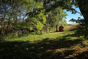 6363 E Bacon Rd, Hillsdale, MI 49242 - Photo 5