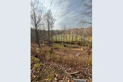 0 Hipps Hollow Road, Eau Claire, MI 49111 - Photo 11