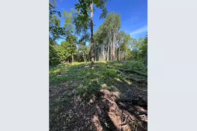 0 Hipps Hollow Road, Eau Claire, MI 49111 - Photo 13