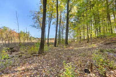 10154 Connelley Avenue NE, Greenville, MI 48838 - Photo 33