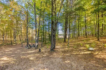 10154 Connelley Avenue NE, Greenville, MI 48838 - Photo 35