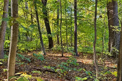 Unit 7 Greyhawke Ridge, Niles, MI 49120 - Photo 7