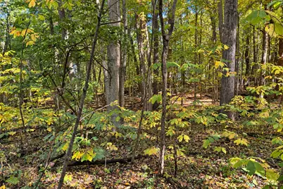 7.26 Acres Greyhawke Ridge, Niles, MI 49120 - Photo 39