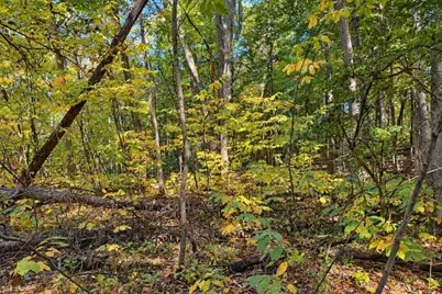 7.26 Acres Greyhawke Ridge, Niles, MI 49120 - Photo 37