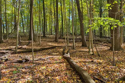 7.26 Acres Greyhawke Ridge, Niles, MI 49120 - Photo 61