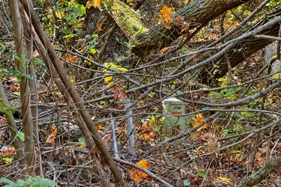 7.26 Acres Greyhawke Ridge, Niles, MI 49120 - Photo 55