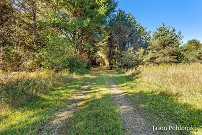 155th Avenue, Morley, MI 49336 - Photo 5
