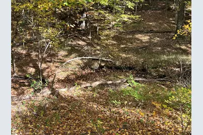 10062 S Osborn Avenue, Fremont, MI 49412 - Photo 25