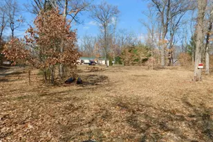 647 N Hart Rd, Wellston, MI 49689 - Photo 15