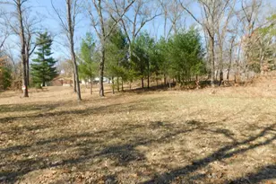 647 N Hart Rd, Wellston, MI 49689 - Photo 13