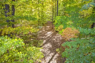 2905 E Jackson Rd, Walkerville, MI 49459 - Photo 41