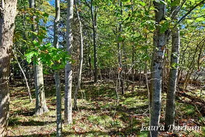 Leon Ave, Fennville, MI 49408 - Photo 3