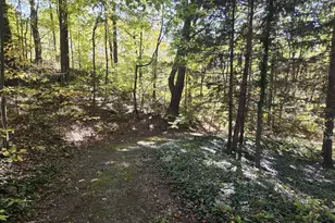 569 W Shawnee Rd, Baroda, MI 49101 - Photo 39