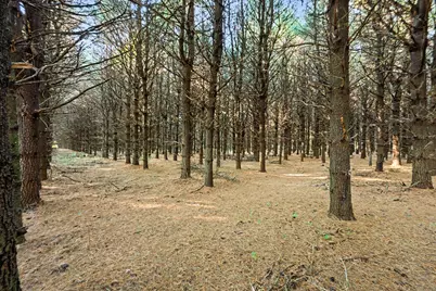 45924 County Road 665 Vl, Paw Paw, MI 49079 - Photo 3