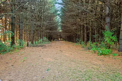 45924 County Road 665 3 Acres, Paw Paw, MI 49079 - Photo 25