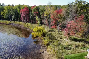 Vl N Park St, Paw Paw, MI 49079 - Photo 1