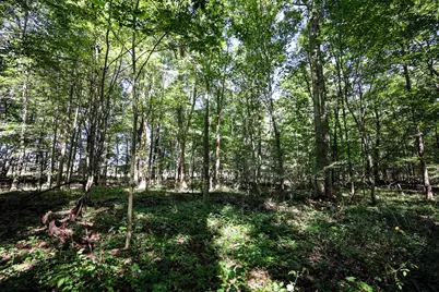 Vl Summit Rd, Leonidas, MI 49066 - Photo 27