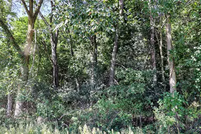 Vl Summit Rd, Leonidas, MI 49066 - Photo 3
