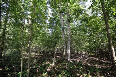 Vl Summit Rd, Leonidas, MI 49066 - Photo 33