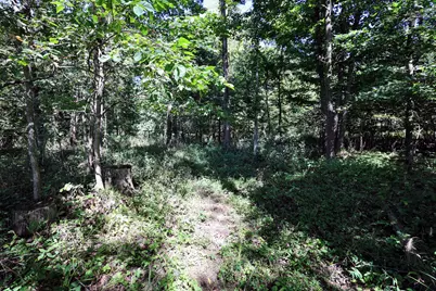 Vl Summit Rd, Leonidas, MI 49066 - Photo 13