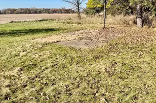 5261 N Watson Rd, Elsie, MI 48831 - Photo 3