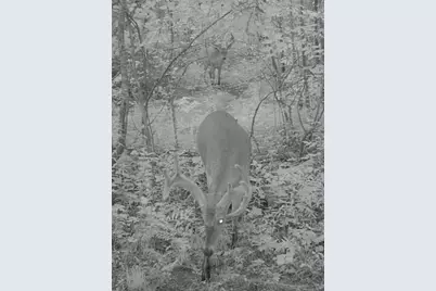 Vl Ayers Road, Marcellus, MI 49067 - Photo 11