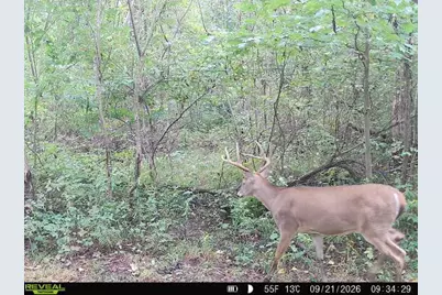 Vl Ayers Road, Marcellus, MI 49067 - Photo 9