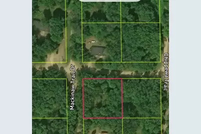194 Saginaw Drive, Howard City, MI 49329 - Photo 5