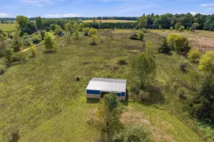 11390 E Pakes Rd, Crystal, MI 48818 - Photo 41