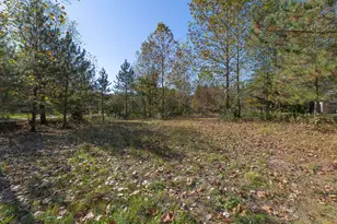 29265 Misty Pnes St, Dowagiac, MI 49047 - Photo 1