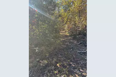 9170 E Kinney Road, Branch, MI 49402 - Photo 49