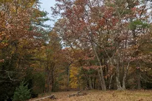 V/L W Crystal Lake Rd, Whitehall, MI 49461 - Photo 1