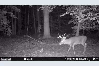 10650 10 Mile NE, Rockford, MI 49341 - Photo 27