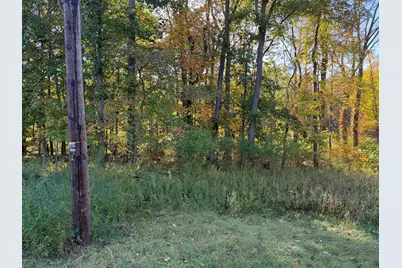 Parcel A Red Arrow Highway, Harbert, MI 49115 - Photo 5