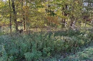 Parcel B Red Arrow Hwy, Harbert, MI 49115 - Photo 1