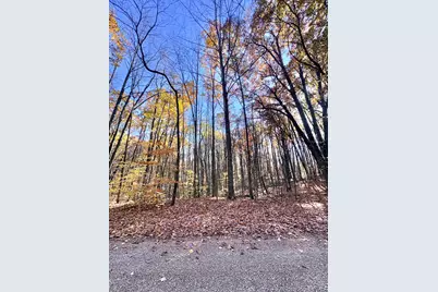 00 Alps Drive, Reed City, MI 49677 - Photo 3