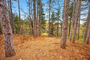 8951 W Cadillac Rd, McBain, MI 49657 - Photo 37