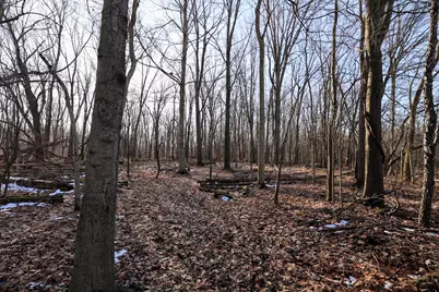 Vl Flanders Road, Charlotte, MI 48813 - Photo 13