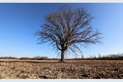 Vl Flanders Road, Charlotte, MI 48813 - Photo 15