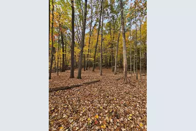 10068 Town Road, Parma, MI 49269 - Photo 5