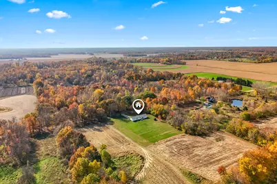 10556 Herring Road, Litchfield, MI 49252 - Photo 5
